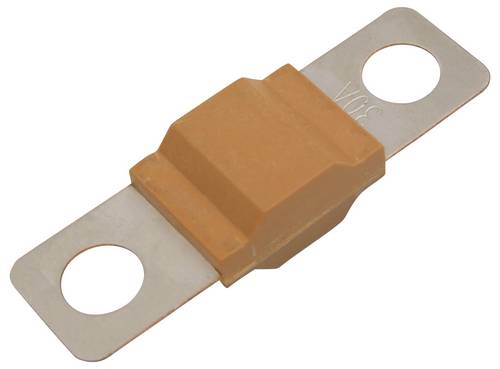 TRU COMPONENTS TC-13545872 Sicherung 30A 80 V/DC Inhalt 10 St. Bulk
