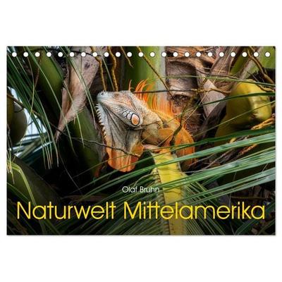 Naturwelt Mittelamerika (Tischkalender 2027 DIN A5 quer), CALVENDO Monatskalender