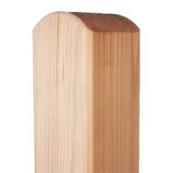 Douglasie Pfosten 9 x 9 x 100cm – Zaunpfosten aus Douglasie, naturbelassen – Holzpfosten, allseitig gehobelt – Gartenpfosten für Gartenzaun