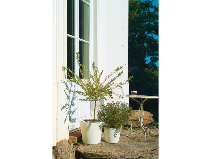 Outdoor Pflanztopf Entab 48 x 40 x 48cm Weiß