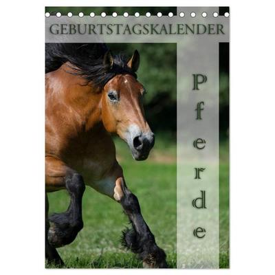 Pferde / Planer (Tischkalender 2026 DIN A5 hoch), CALVENDO Monatskalender