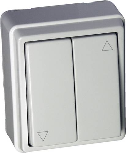 Kaiser Nienhaus 321340 Wandtaster Aufputz