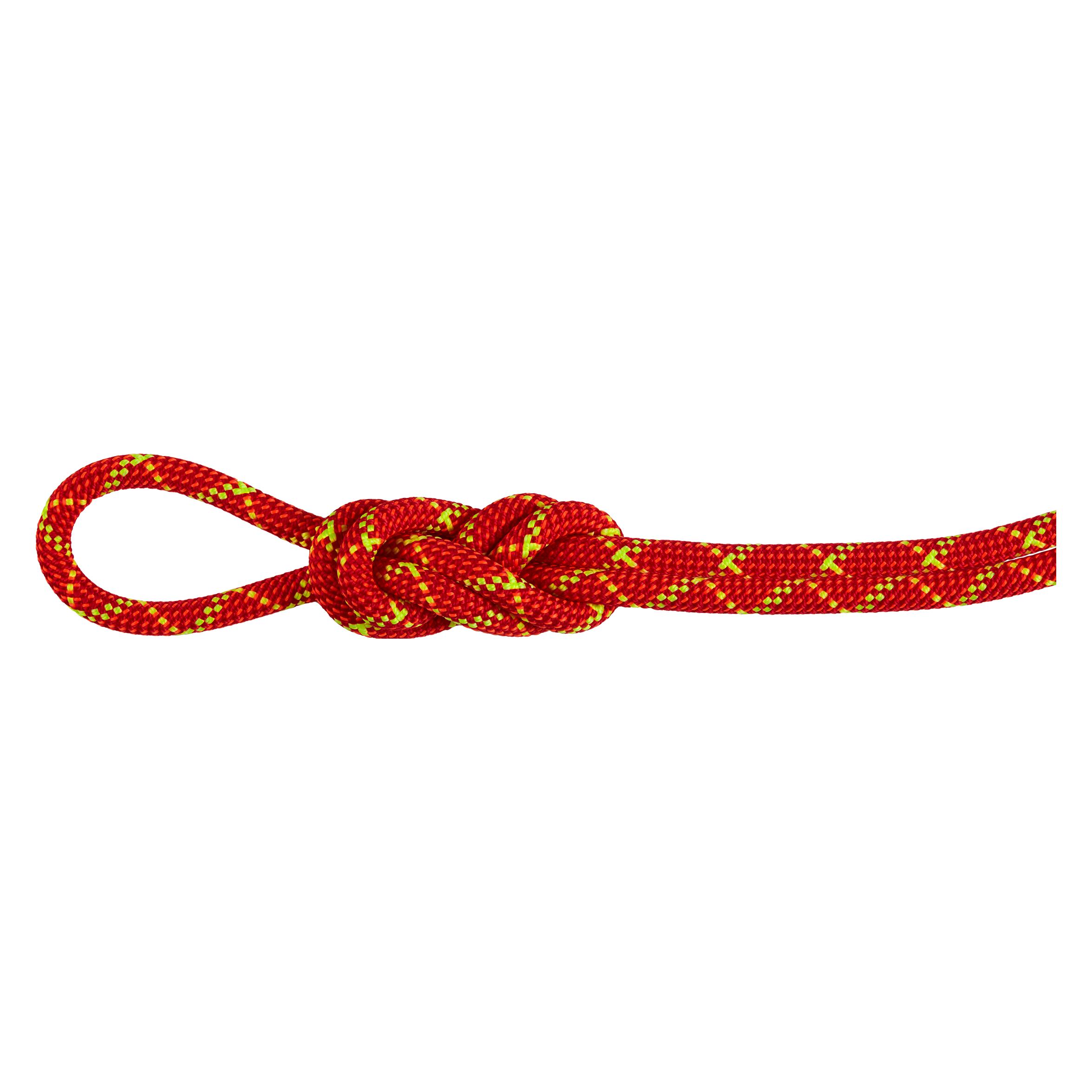 Mammut 8.0 Alpine Core Protect Dry Rope (70 m) (MAMMUT)