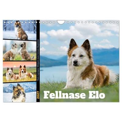Fellnase Elo. Vom tapsigen Welpen zum treuen Begleiter (Wandkalender 2027 DIN A4 quer), CALVENDO Monatskalender