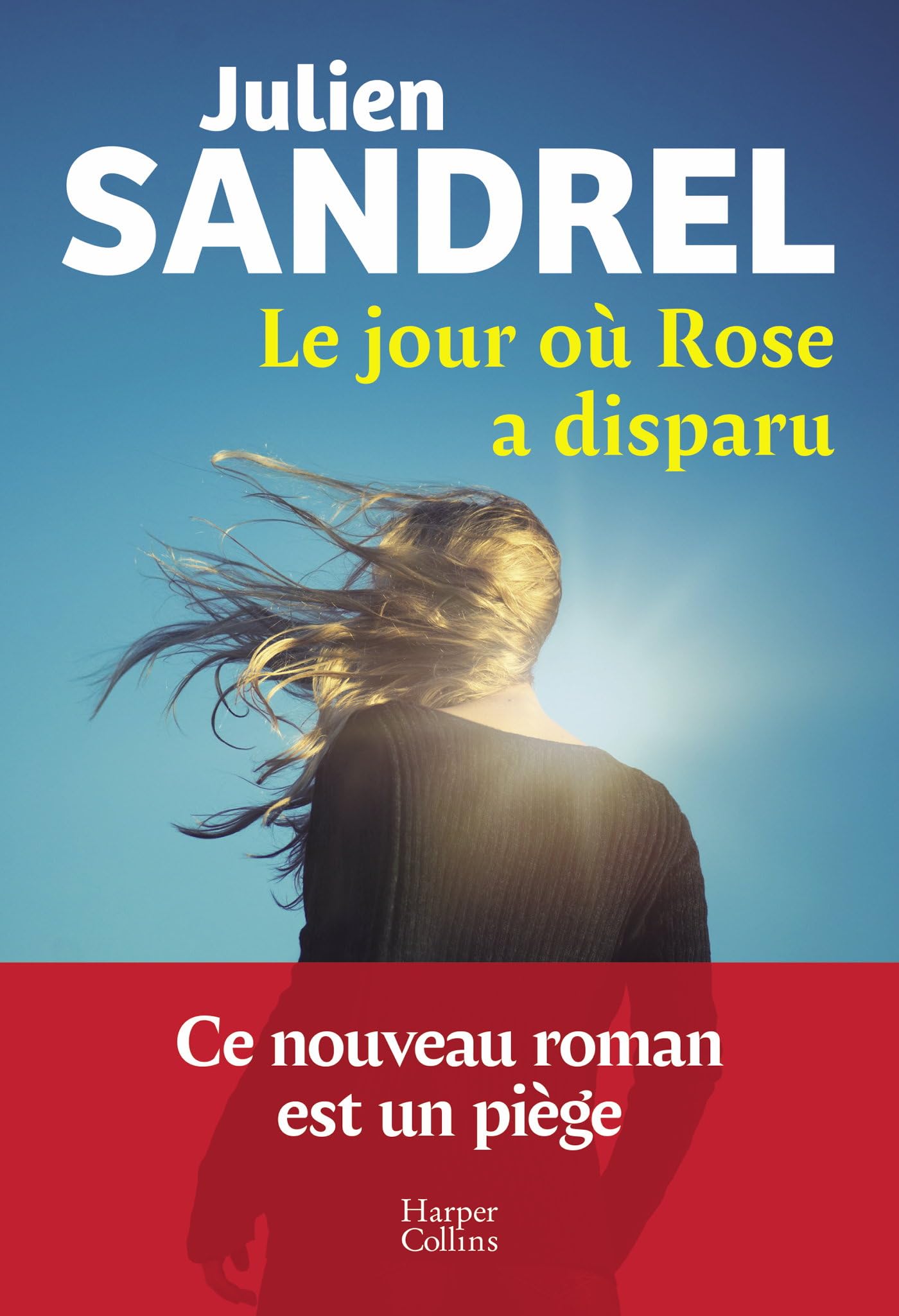 Julien Sandrel - Le jour où Rose a disparu - Preis vom 09.10.2026 07:28:09 h