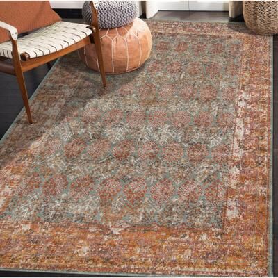 Amer Rugs Ethereal Vintage Bordered Area Rug