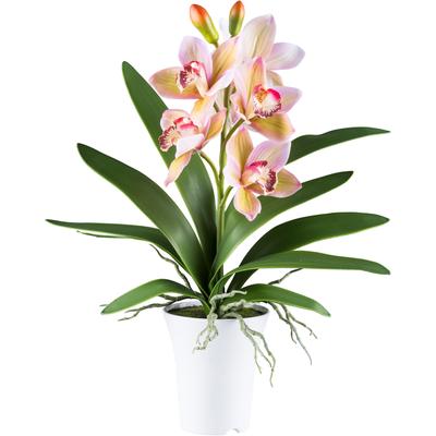 Kunstorchidee CREATIV GREEN "Orchidee Cymbidie", grün, H:53cm, Kunststoff, Kunstpflanzen, mit real-touch-Blüten