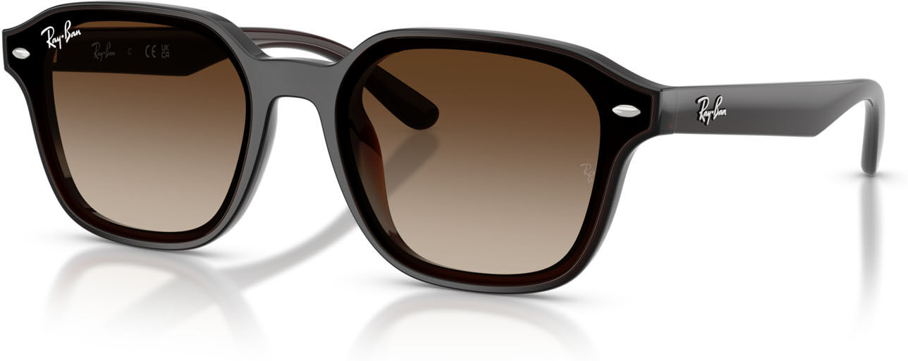 Ray-Ban 4458D (714/13)