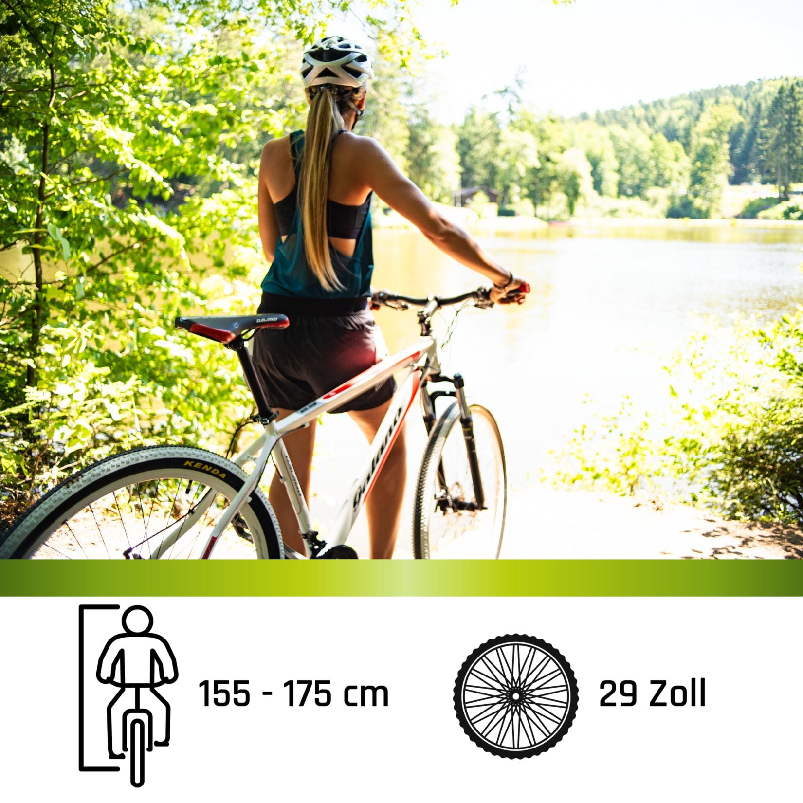 Galano Toxic Mountainbike Hardtail 29 Zoll 155 - 190 cm MTB Fahrrad 21 Gang Federgabel Scheibenbremsen
