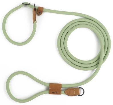 Inspired Finds Multi Functional P Shape Hands Free Dog Leash For Walking & Running light Green 6.89ft