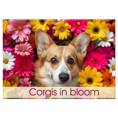 Corgis in Bloom (Wall Calendar 2027 DIN A2 landscape), CALVENDO 12 Month Wall Calendar