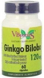Vbyotics Ginkgo Biloba 120 Mg 60 Capsules