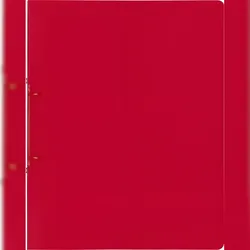 BRUNNEN Ringbuch A4 FACT! 16mm 2-Ringe red 106551623