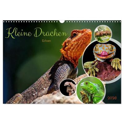 Kleine Drachen - Echsen (Wandkalender 2026 DIN A3 quer), CALVENDO Monatskalender