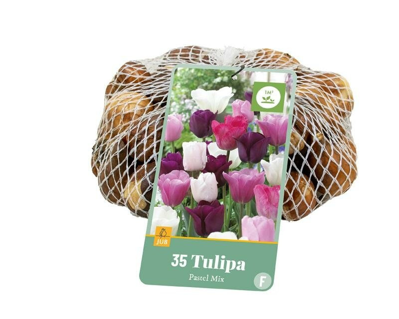 Jub Tulp bollen pastel mix 35 stuks