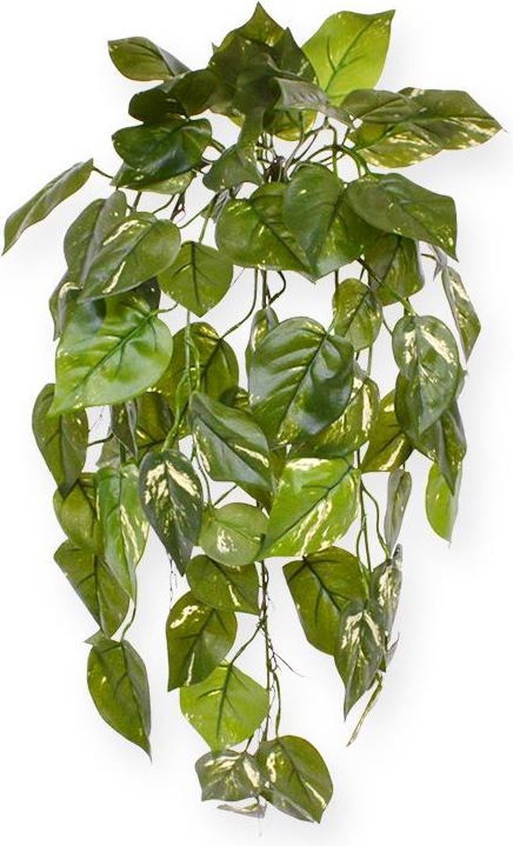 Maxifleur Pothos kunst hangplant deluxe bont, 70 cm