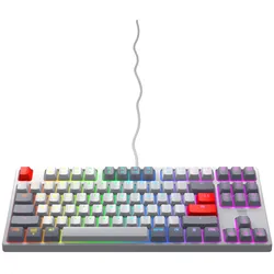 CHERRY Xtrfy K4V2 TKL, Retro, grau, LEDs RGB, MX2A RGB RED, USB, US