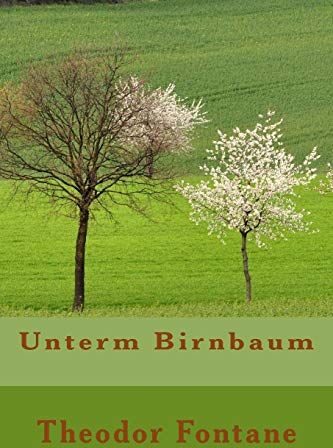 Theodor Fontane - Unterm Birnbaum - Preis vom 17.10.2026 19:25:27 h