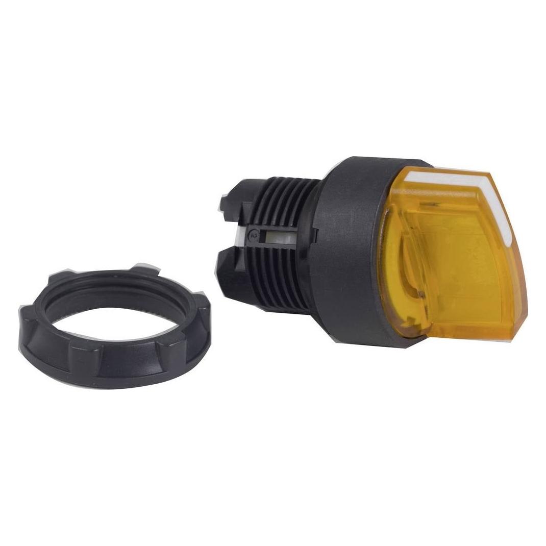 Schneider Electric Selector Ill. Pushbotton (ZB5AK1253)