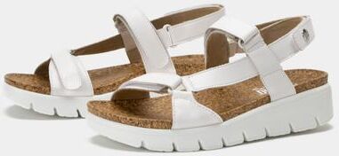 Women's Henna Sandal by Alegria in White (Size 5 M)