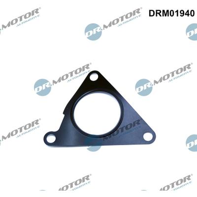 DR.MOTOR AUTOMOTIVE Dichtung, AGR-Ventil drm01940 vor Abgasrückführung für VW