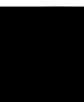 DHU-Arzneimittel GmbH & Co. KG AESCULUS C 200 Globuli 10 g 07157561