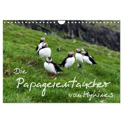 Die Papageientaucher von Mykines (Wandkalender 2027 DIN A4 quer), CALVENDO Monatskalender