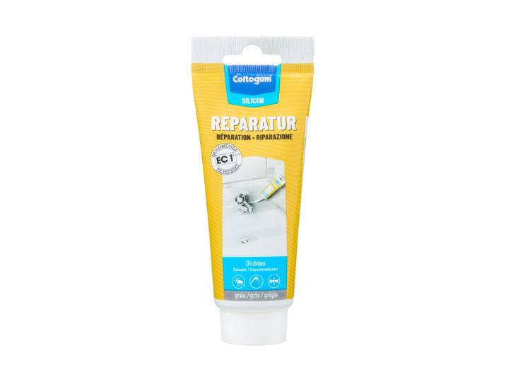 Coltogum Dichtmasse Reparatur Grau 100ml