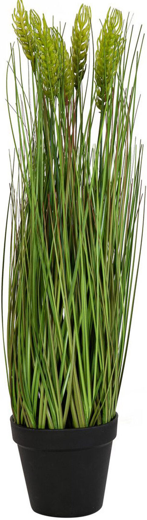 Europalms Weizen Frühsommer 60cm