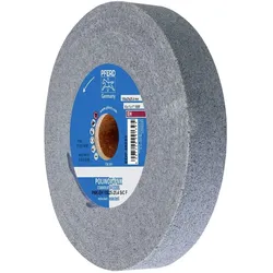 Pferd, Schleifmittel, PNK-EH 15025-25,4 SiC F