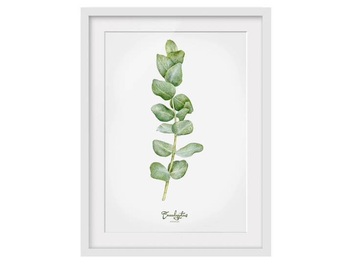 Impression aquarelle Eucalyptus II Pin massif, verni mat Vert 30 x 40cm