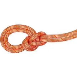 MAMMUT Bergseil 9.8 Crag Classic Rope 70m, Größe 70 in Braun Braun