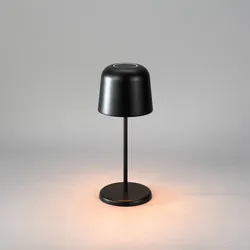Biot USB-LED-Tischleuchte schwarz