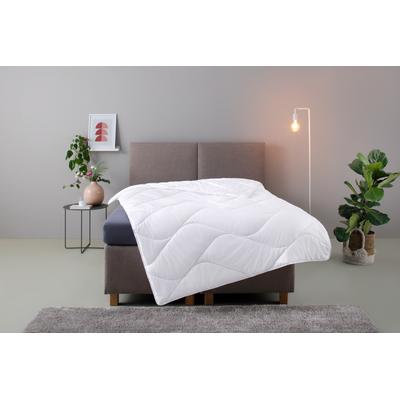 Microfaserbettdecke OTTO HOME "Fantasy", weiß, B:200cm L:220cm, Bettdecken Bezug: 100% Baumwolle. Bettdecken Füllung: 100% Polyester, Bettdecken, Microfaserbettdecke, Bettdecken, in 3 Bezugsqualitäten für Sommer, Winter