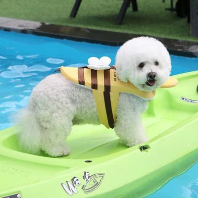 Inspired Finds Summer Little Bee Waterproof Dog Life Jacket Swimsuit m