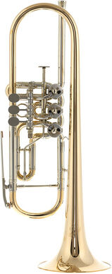 Peter Oberrauch Venezia Trumpet Bb 11.05 UL