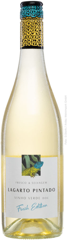 Lagarto Pintado Fresh Edition Vinho Verde Branco 2025 Casa de Vila Nova