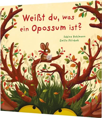 Sabine Bohlmann - Weißt du, was ein Opossum ist?: Ein Waldabenteuer voller Überraschungen - Preis vom 12.10.2026 11:37:12 h