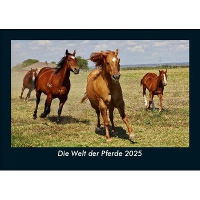 Die Welt der Pferde 2025 Fotokalender DIN A5