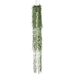 Kunstpflanze Tillandsia in Grün