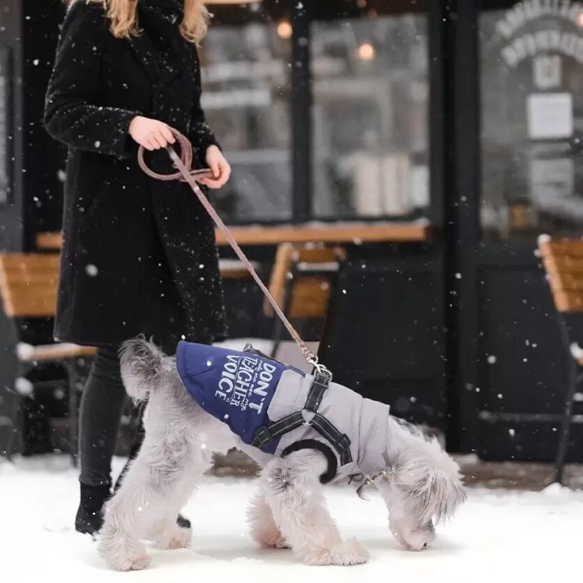 INF Warme Hunde Fleeceweste mit Reflektierendem Design - Winterbekleidung für Kleine Hunde XL