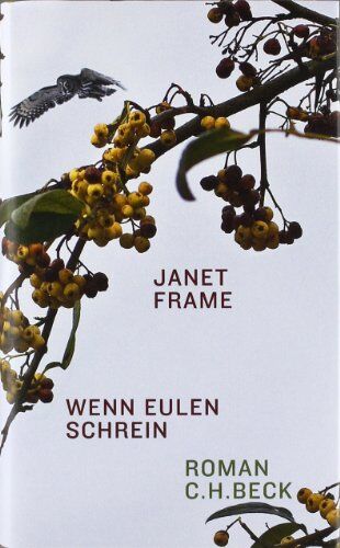 Janet Frame - Wenn Eulen schrein: Roman - Preis vom 02.10.2026 23:42:20 h