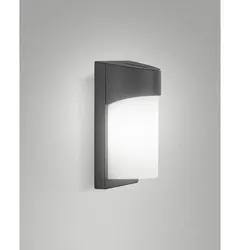 Fabas Luce Außenwandleuchte GLUCK, E27, IK08, IP54, dunkelgrau FAB-6562-21-294