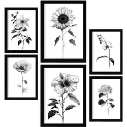 POSTER Set Mit 6 Helle Blumen Natur Und Botanikdrucke Mit Blumenmotiven In Klassischem Schwarz Und Weiß Innenarchitektur A3 & A4 Schwarzer Rahmen