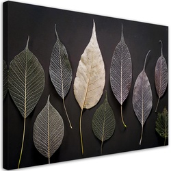 WANDBILD minimalismus hinterlässt glamourpflanzen