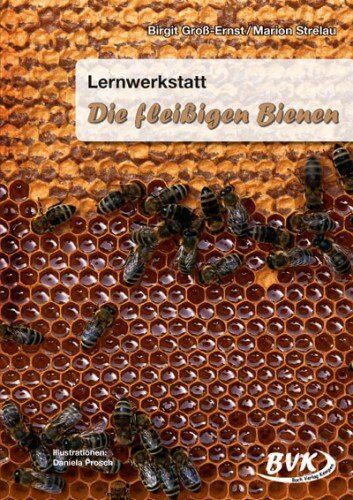 Birgit Groß-Ernst - Lernwerkstatt, Die fleißigen Bienen - Preis vom 05.10.2026 03:47:11 h