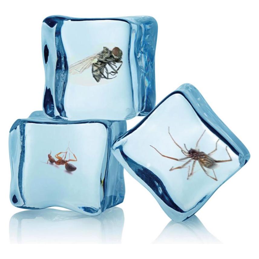 Swissinno Insekten Frostspray (1 290 001)
