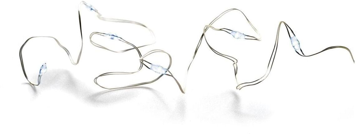 STT LED-Lichterkette "Angel Hair Battery String 50", silber (silberfarben), Kabellänge 0,03m, Lichterketten, LED-Lichterkette silberfarben Kabellänge 0,03m
