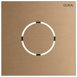Gira Frontpl. Sprachmodul 5578921