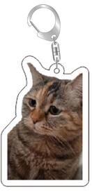 DynamicDeals Funny Cat Meme Keychain Cute Bag Charm Gift For Cat Lovers & Best Friends style 7